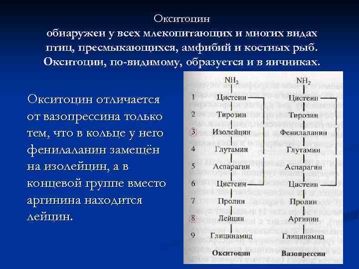Окситоцин обнаружен у всех млекопитающих и многих видах птиц, пресмыкающихся, амфибий и костных рыб.