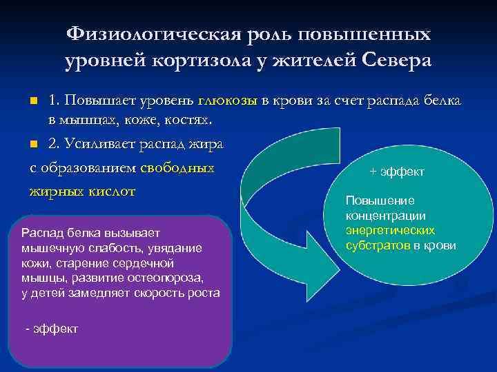 Физиологическая роль повышенных уровней кортизола у жителей Севера 1. Повышает уровень глюкозы в крови
