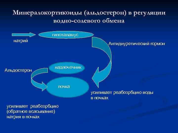 Минералокортикоиды (альдостерон) в регуляции водно-солевого обмена гипоталамус натрий Альдостерон Антидиуретический гормон надпочечник почка усиливает