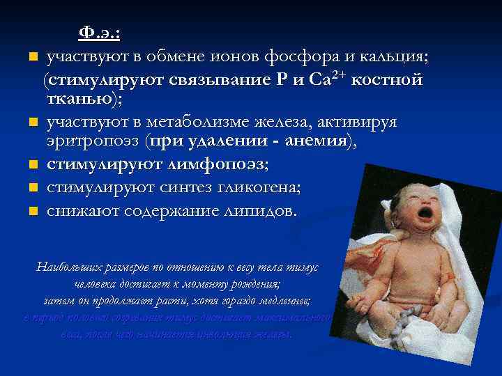 Ф. э. : n участвуют в обмене ионов фосфора и кальция; (стимулируют связывание Р