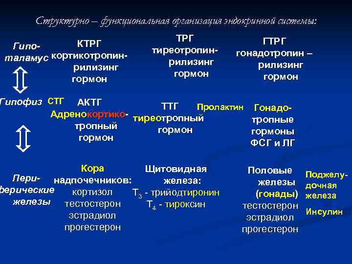 Структурно – функциональная организация эндокринной системы: КТРГ Гипоталамус кортикотропинрилизинг гормон ТРГ тиреотропинрилизинг гормон ГТРГ