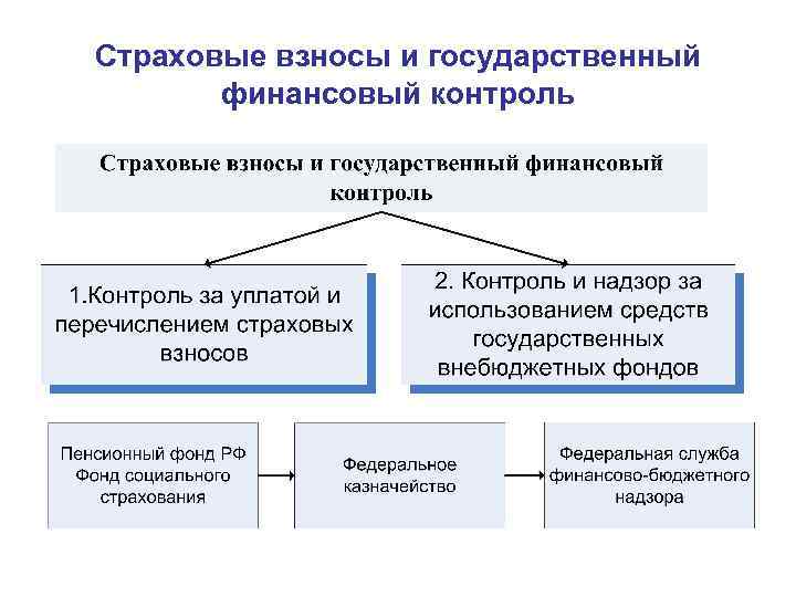 Правовое регулирование государственного и муниципального финансового контроля Лекция