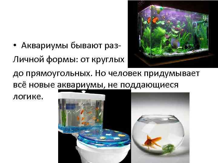  • Аквариумы бывают раз. Личной формы: от круглых до прямоугольных. Но человек придумывает