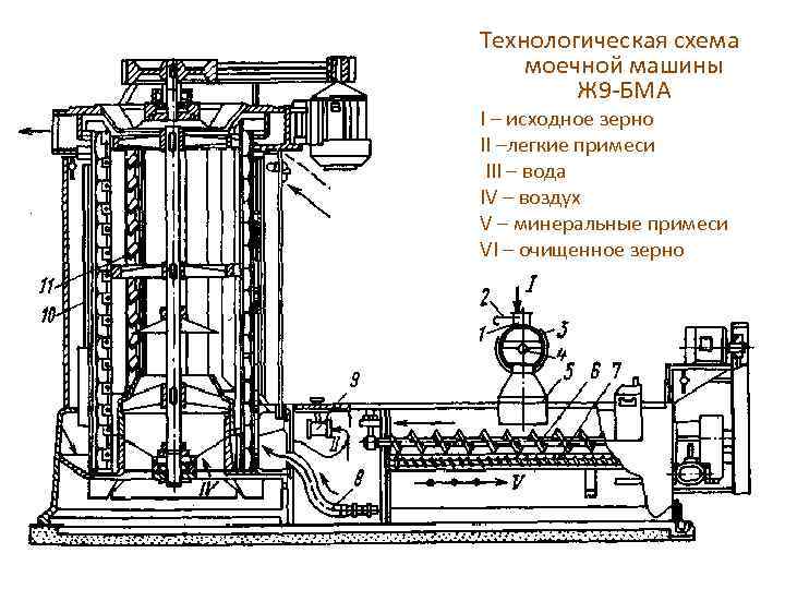 Технологическая схема моечной машины Ж 9 -БМА I – исходное зерно II –легкие примеси