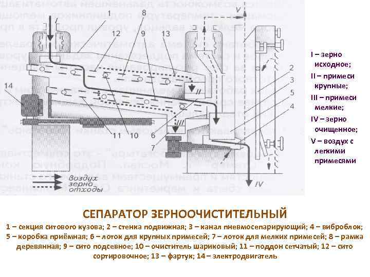 I – зерно исходное; II – примеси крупные; III – примеси мелкие; IV –