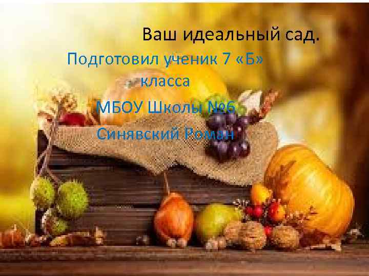 Ваш идеальный сад. Подготовил ученик 7 «Б» класса МБОУ Школы № 6 Синявский Роман