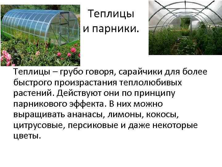 Теплицы и парники. Теплицы – грубо говоря, сарайчики для более быстрого произрастания теплолюбивых растений.