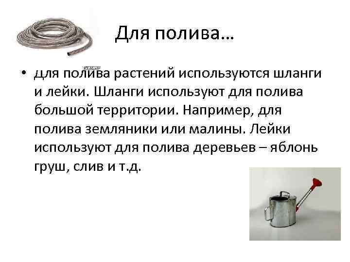 Для полива… • Для полива растений используются шланги и лейки. Шланги используют для полива