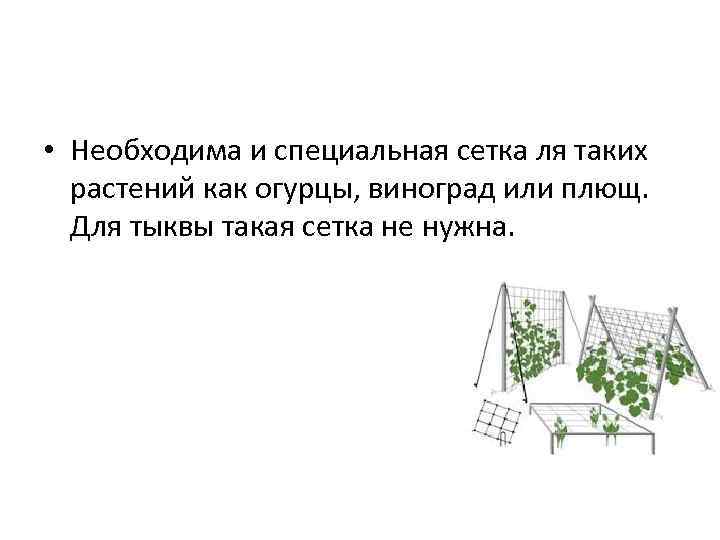  • Необходима и специальная сетка ля таких растений как огурцы, виноград или плющ.