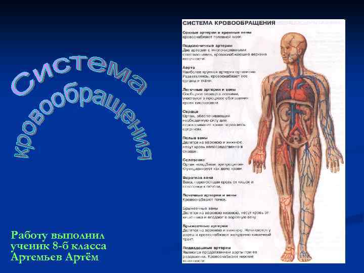 Работу выполнил ученик 8 -б класса Артемьев Артём 