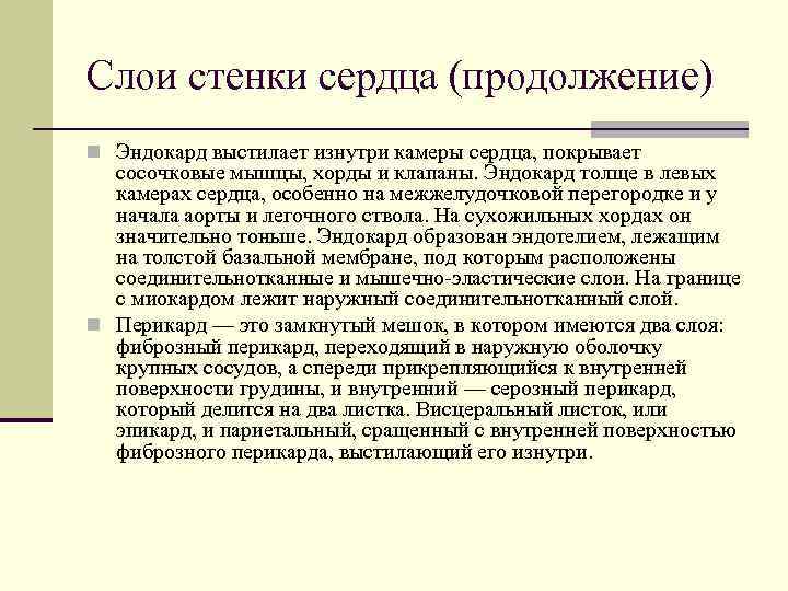 Слои стенки сердца (продолжение) n Эндокард выстилает изнутри камеры сердца, покрывает сосочковые мышцы, хорды