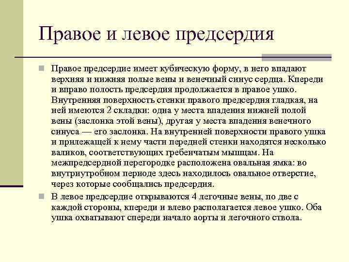 Правое и левое предсердия n Правое предсердие имеет кубическую форму, в него впадают верхняя
