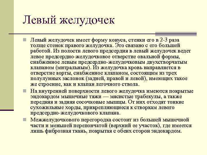 Левый желудочек n Левый желудочек имеет форму конуса, стенки его в 2 -3 раза