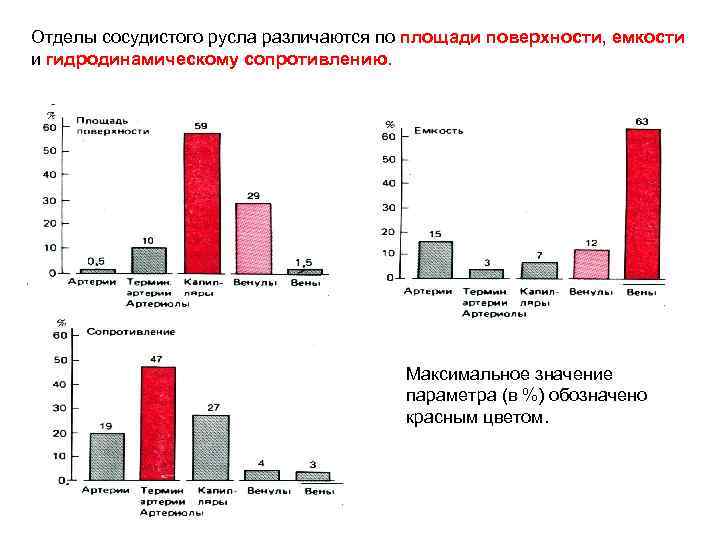 Отделы сосудистого русла различаются по площади поверхности, емкости и гидродинамическому сопротивлению. Максимальное значение параметра