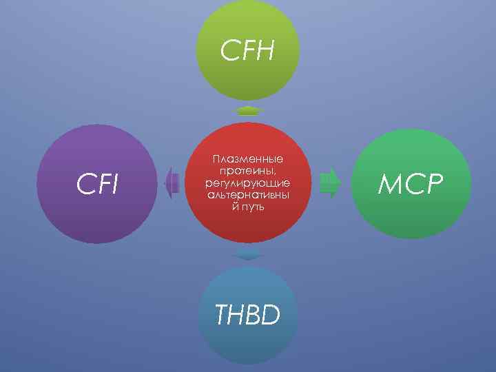 CFH CFI Плазменные протеины, регулирующие альтернативны й путь THBD MCP 