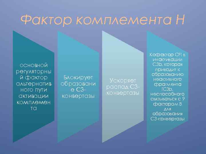 Фактор комплемента H основной регуляторны й фактор альтернатив ного пути активации комплемен та Блокирует