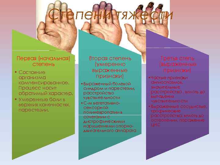 Степени тяжести Первая (начальная) степень • Состояние организма компенсированное. Процесс носит обратимый характер. •