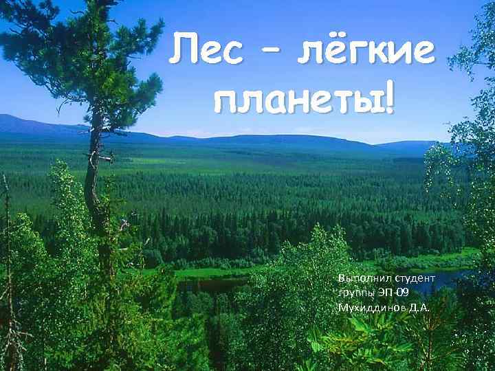 Лес – лёгкие планеты! Выполнил студент группы ЭП-09 Мухиддинов Д. А. 