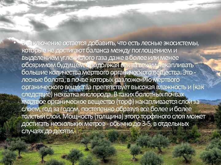  • В заключение остается добавить, что есть лесные экосистемы, которые не достигают баланса