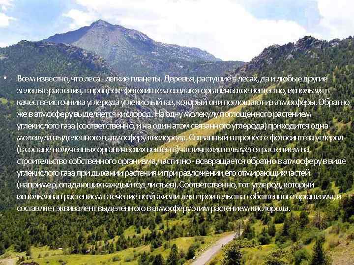  • Всем известно, что леса - легкие планеты. Деревья, растущие в лесах, да