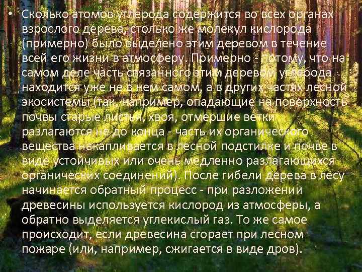  • Сколько атомов углерода содержится во всех органах взрослого дерева, столько же молекул