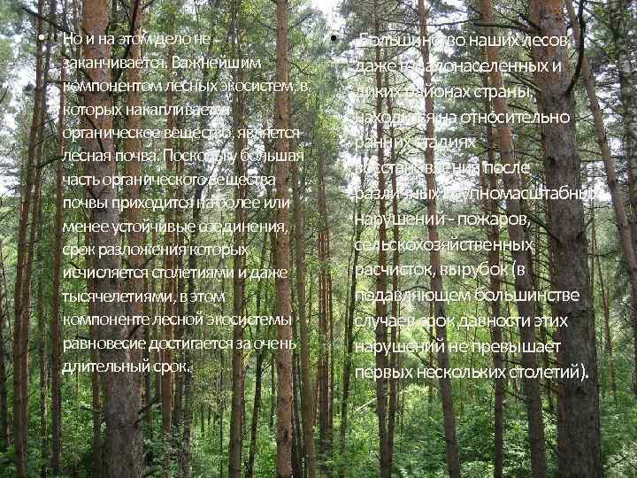  • Но и на этом дело не заканчивается. Важнейшим компонентом лесных экосистем, в