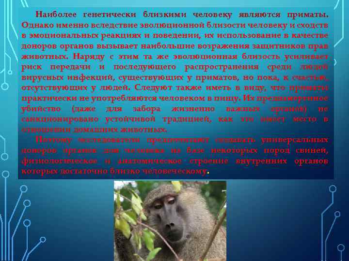 Наиболее генетически близкими человеку являются приматы. Однако именно вследствие эволюционной близости человеку и сходств