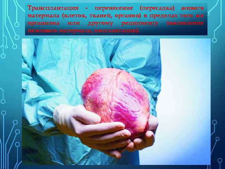 Трансплантация – перенесение (пересадка) живого материала (клеток, тканей, органов) в пределах того же организма