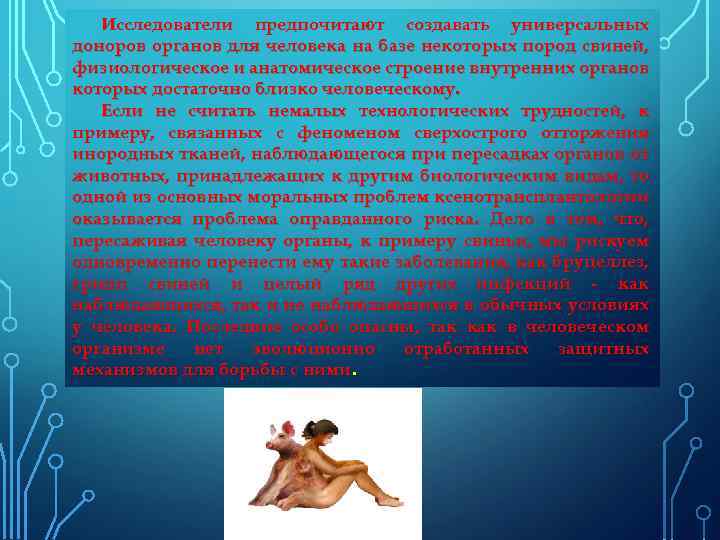 Исследователи предпочитают создавать универсальных доноров органов для человека на базе некоторых пород свиней, физиологическое