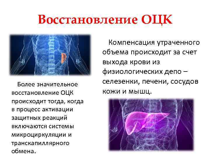 Как происходит восстановление. Восстановление ОЦК. Восстановление объема циркулирующей крови. Механизмы восстановления ОЦК.. Механизмы естественного восстановления ОЦК ОЦП го после кровопотери.