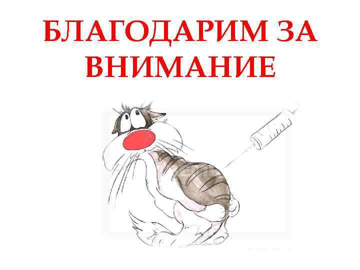 БЛАГОДАРИМ ЗА ВНИМАНИЕ 