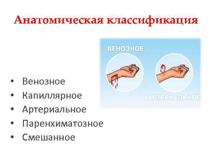 Анатомическая классификация • • • Венозное Капиллярное Артериальное Паренхиматозное Смешанное 