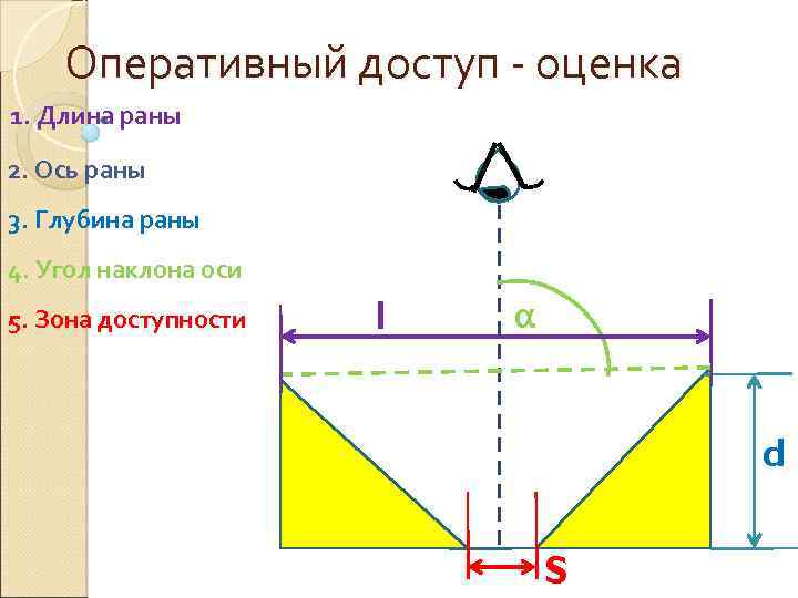 Оперативный доступ - оценка 1. Длина раны 2. Ось раны 3. Глубина раны 4.