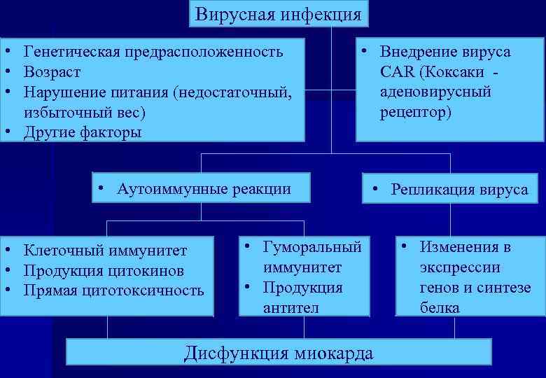 Вирусная инфекция • Генетическая предрасположенность • Возраст • Нарушение питания (недостаточный, избыточный вес) •