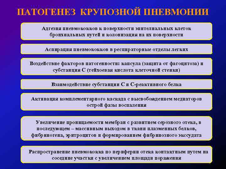 ПАТОГЕНЕЗ КРУПОЗНОЙ ПНЕВМОНИИ Адгезия пневмококков к поверхности эпителиальных клеток бронхиальных путей и колонизация на