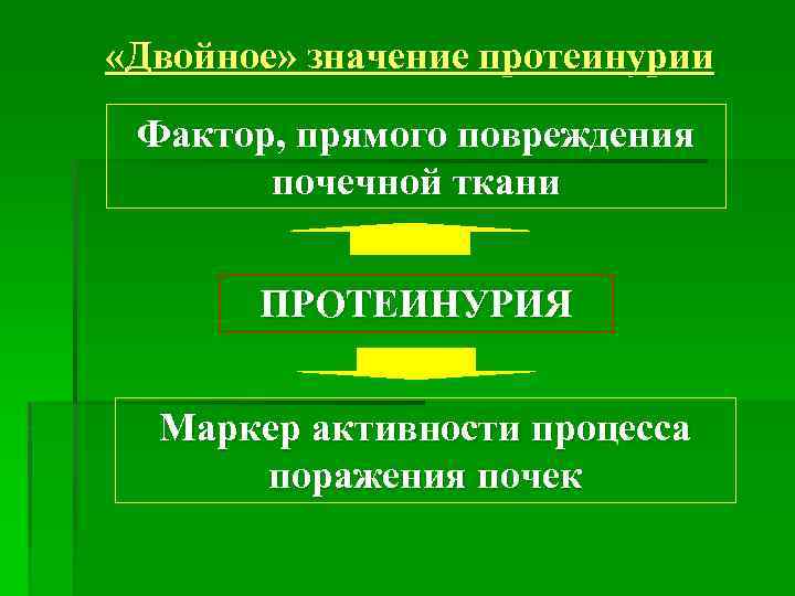  «Двойное» значение протеинурии Фактор, прямого повреждения почечной ткани ПРОТЕИНУРИЯ Маркер активности процесса поражения