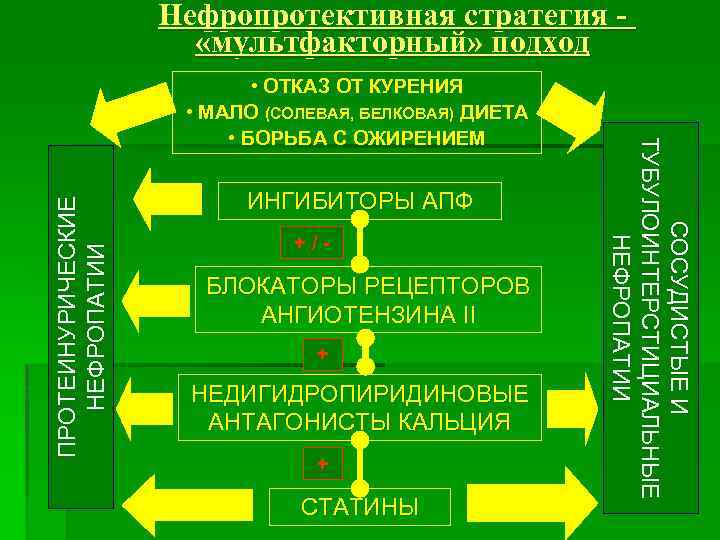 Нефропротективная стратегия «мультфакторный» подход ПРОТЕИНУРИЧЕСКИЕ НЕФРОПАТИИ ИНГИБИТОРЫ АПФ +/- БЛОКАТОРЫ РЕЦЕПТОРОВ АНГИОТЕНЗИНА II +