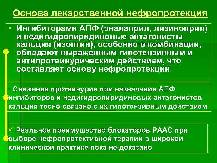 Основа лекарственной нефропротекция § Ингибиторами АПФ (эналаприл, лизиноприл) и недигидропиридиновые антагонисты кальция (изоптин), особенно