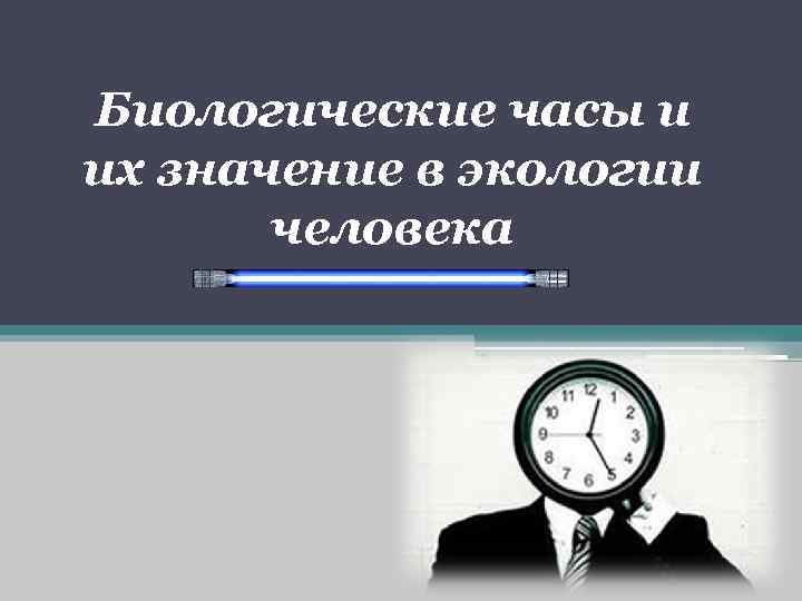 Биологические часы и их значение в экологии человека 