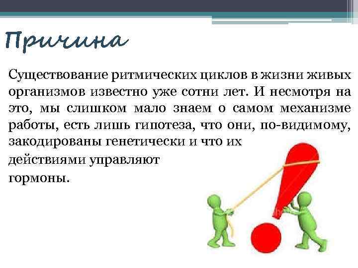 Причина Существование ритмических циклов в жизни живых организмов известно уже сотни лет. И несмотря