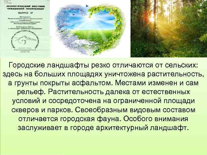 Городские ландшафты резко отличаются от сельских: здесь на больших площадях уничтожена растительность, а грунты