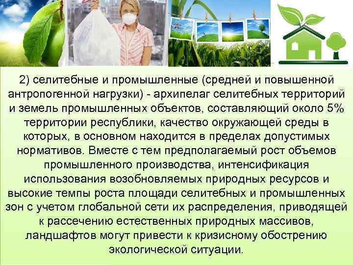 2) селитебные и промышленные (средней и повышенной антропогенной нагрузки) - архипелаг селитебных территорий и