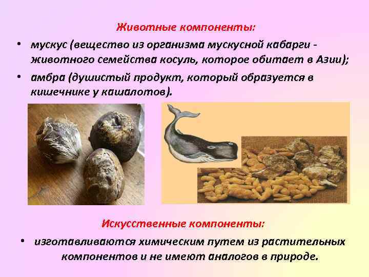 Животные компоненты: • мускус (вещество из организма мускусной кабарги - животного семейства косуль, которое