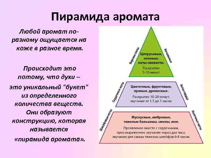 Пирамида аромата Любой аромат поразному ощущается на коже в разное время. Происходит это потому,