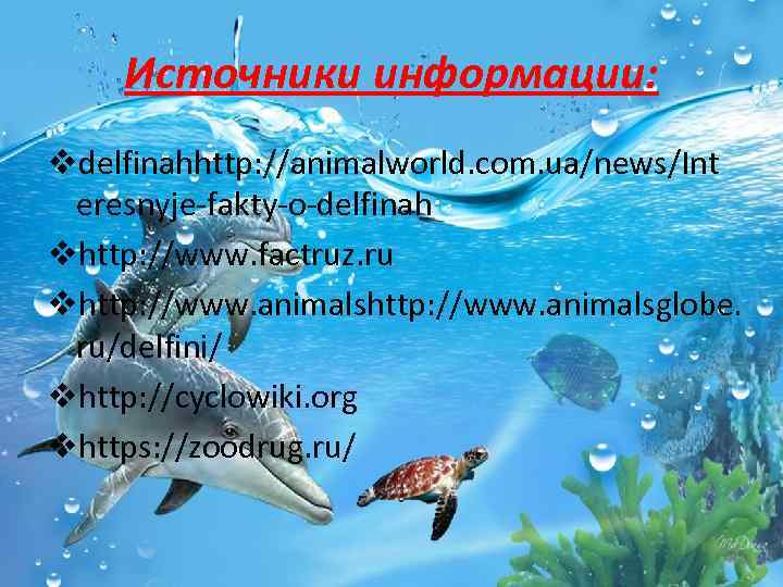 Источники информации: vdelfinahhttp: //animalworld. com. ua/news/Int eresnyje-fakty-o-delfinah vhttp: //www. factruz. ru vhttp: //www. animalsglobe.