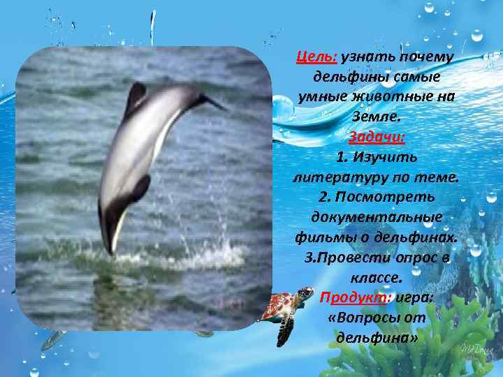 Цель: узнать почему дельфины самые умные животные на Земле. Задачи: 1. Изучить литературу по