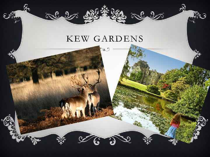 KEW GARDENS 