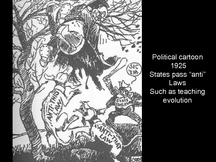 Political cartoon 1925 States pass “anti” Laws Such as teaching evolution 