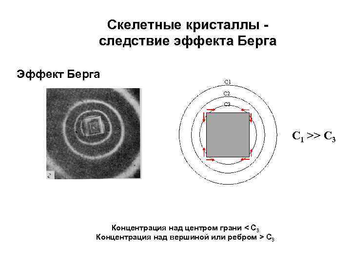 Скелетные кристаллы следствие эффекта Берга Эффект Берга С 1 С 2 С 3 С