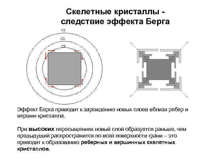 Скелетные кристаллы следствие эффекта Берга С 1 С 2 С 3 Эффект Берга приводит